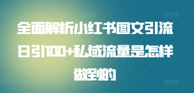 日引流100私域流量小红书图文是怎样做到的全面解析-齐力副业