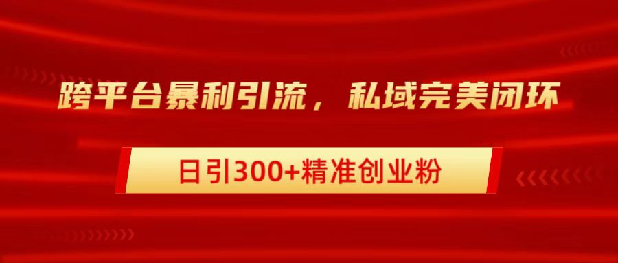 跨平台暴力引流，私域完美闭环，日引300+精准创业粉-齐力副业