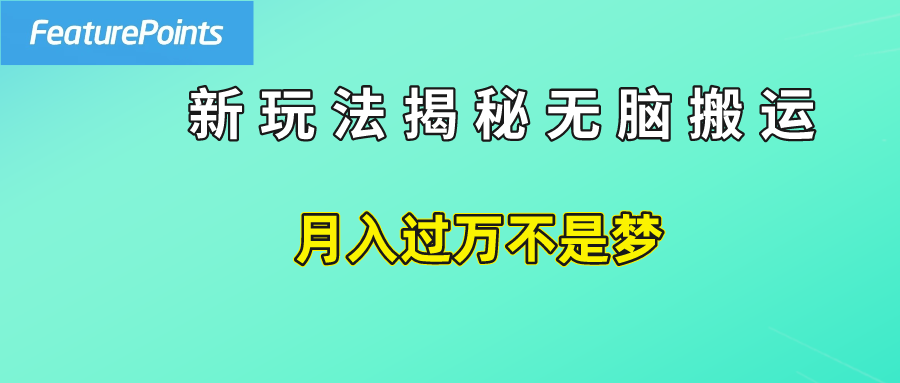 简单操作，每天50美元收入，搬运就是赚钱的秘诀！-齐力副业