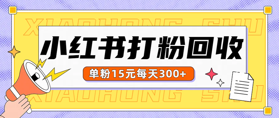 小红书打粉，单粉15元回收每天300+-齐力副业