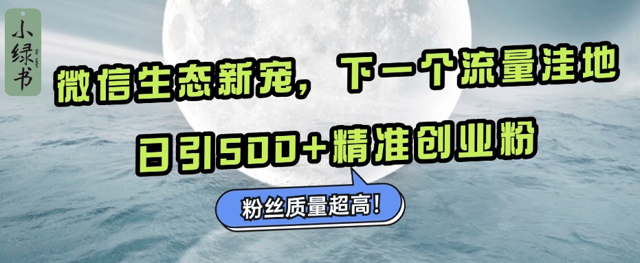 微信生态新宠小绿书：下一个流量洼地，粉丝质量超高，日引500+精准创业粉，-齐力副业