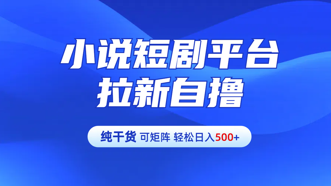 【纯干货】小说短剧平台拉新自撸玩法详解-单人轻松日入500+-齐力副业
