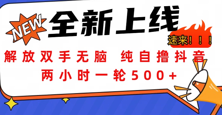 解放双手无脑 纯自撸抖音 两小时一轮500+-齐力副业