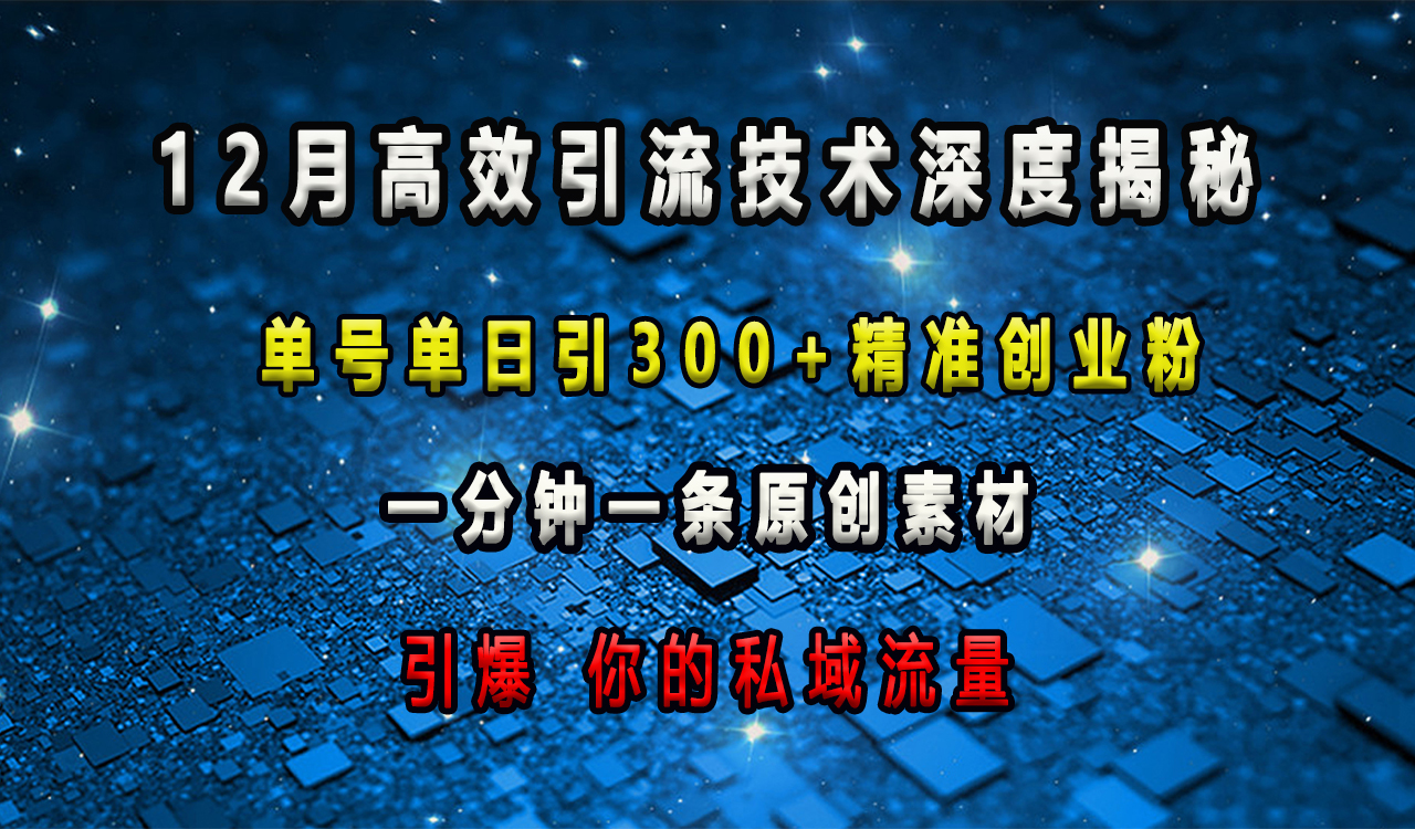 12月高效引流技术深度揭秘 ，单号单日引300+精准创业粉，一分钟一条原创素材，引爆你的私域流量-齐力副业