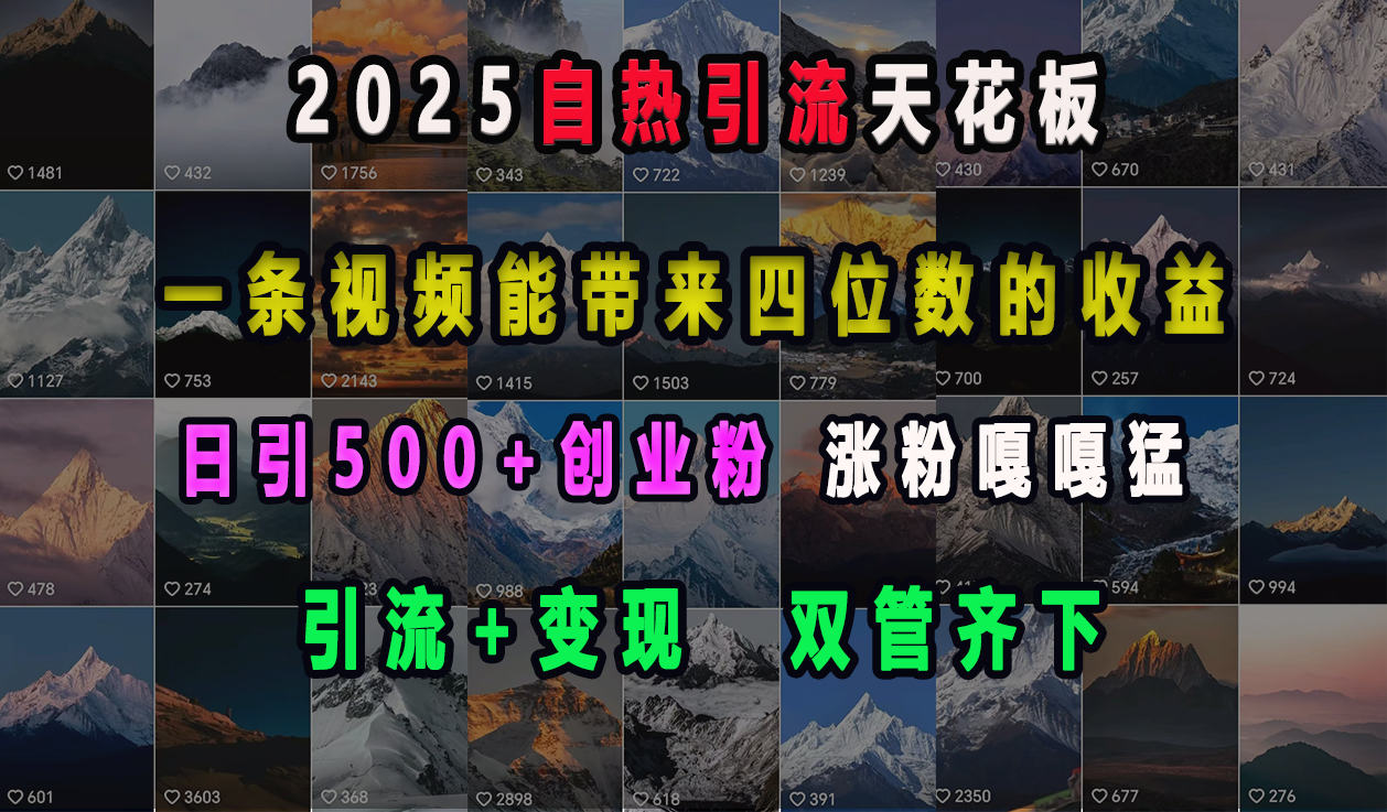 2025自热引流天花板，一条视频能带来四位数的收益，引流+变现双管齐下，日引500+创业粉，涨粉嘎嘎猛-齐力副业