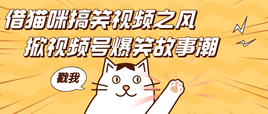 借猫咪搞笑视频之风，掀视频号爆笑故事潮，轻松日赚四位数，开启无门槛赚钱新体验！-齐力副业
