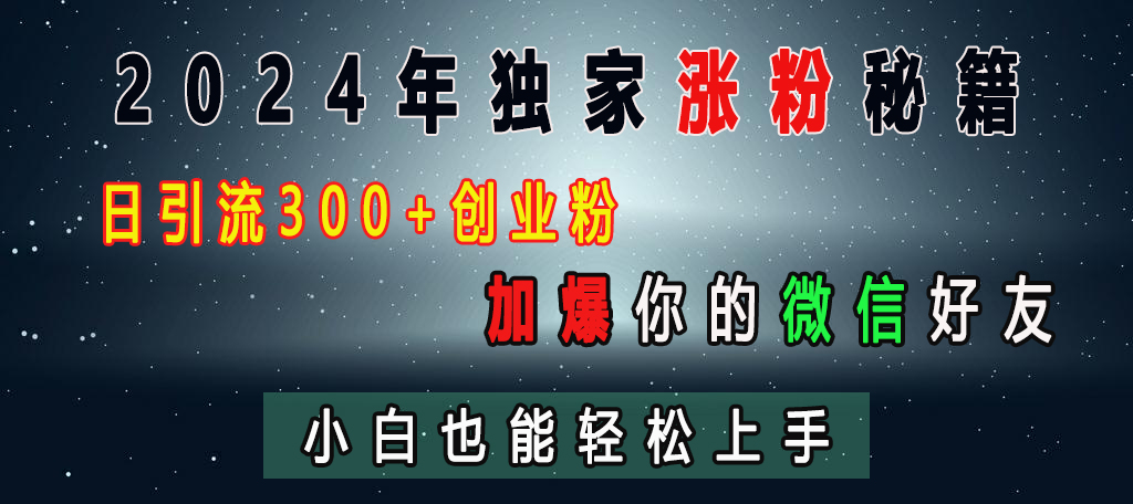 2024年独家涨粉秘籍，日引流300+创业粉，加爆你的微信好友，小白也能轻松上手-齐力副业