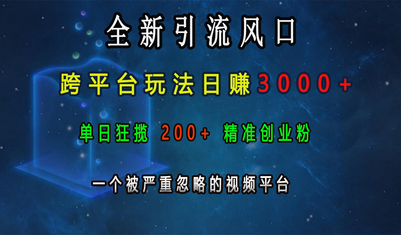 全新引流风口，跨平台玩法日赚3000+，单日狂揽200+精准创业粉，一个被严重忽略的视频平台-齐力副业