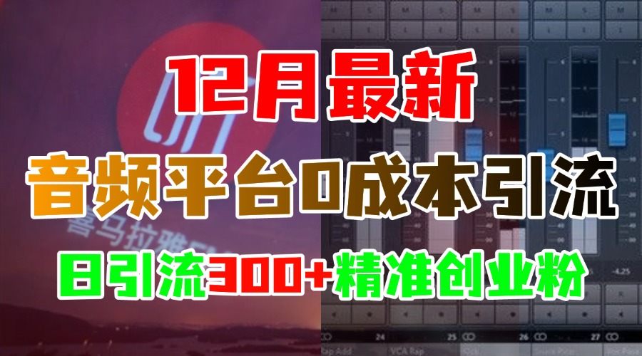 12月最新：音频平台0成本引流，日引300+精准创业粉-齐力副业