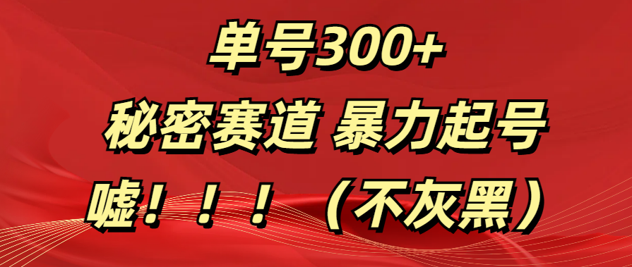 单号300+  秘密赛道 暴力起号  （不灰黑）-齐力副业