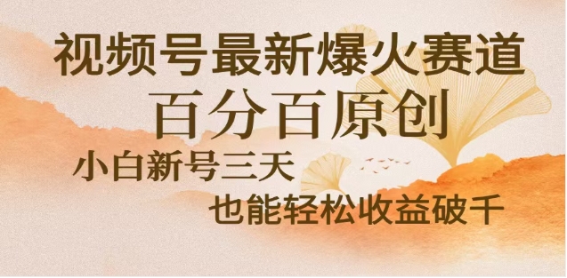 视频号独家玩法，老年养生赛道，无脑搬运爆款视频，日入2000+-齐力副业