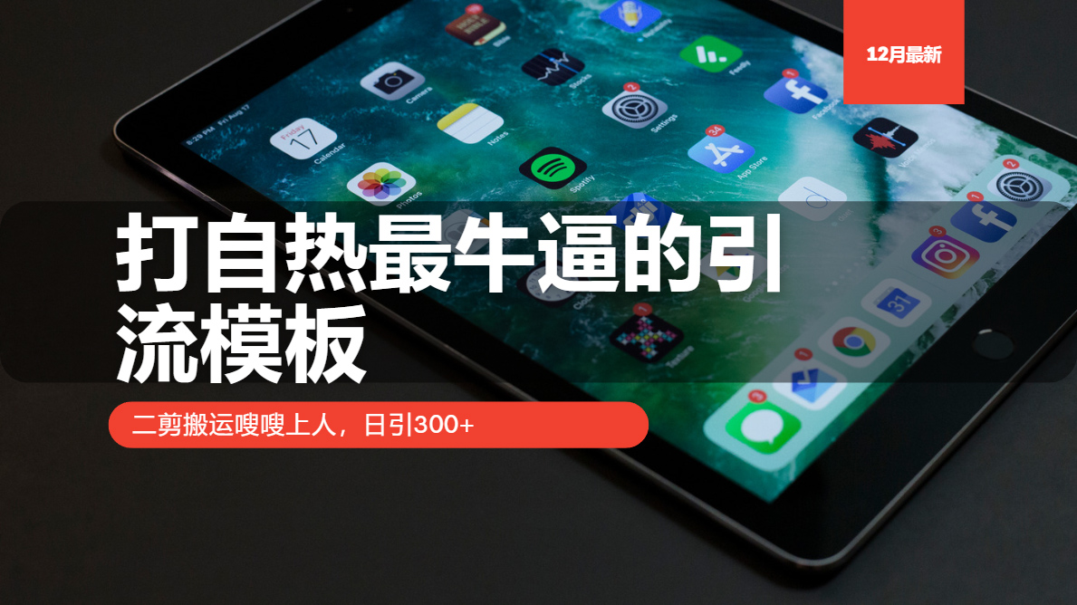 打自热最牛逼的引流模板，日引300+，二剪搬运嗖嗖上人-齐力副业