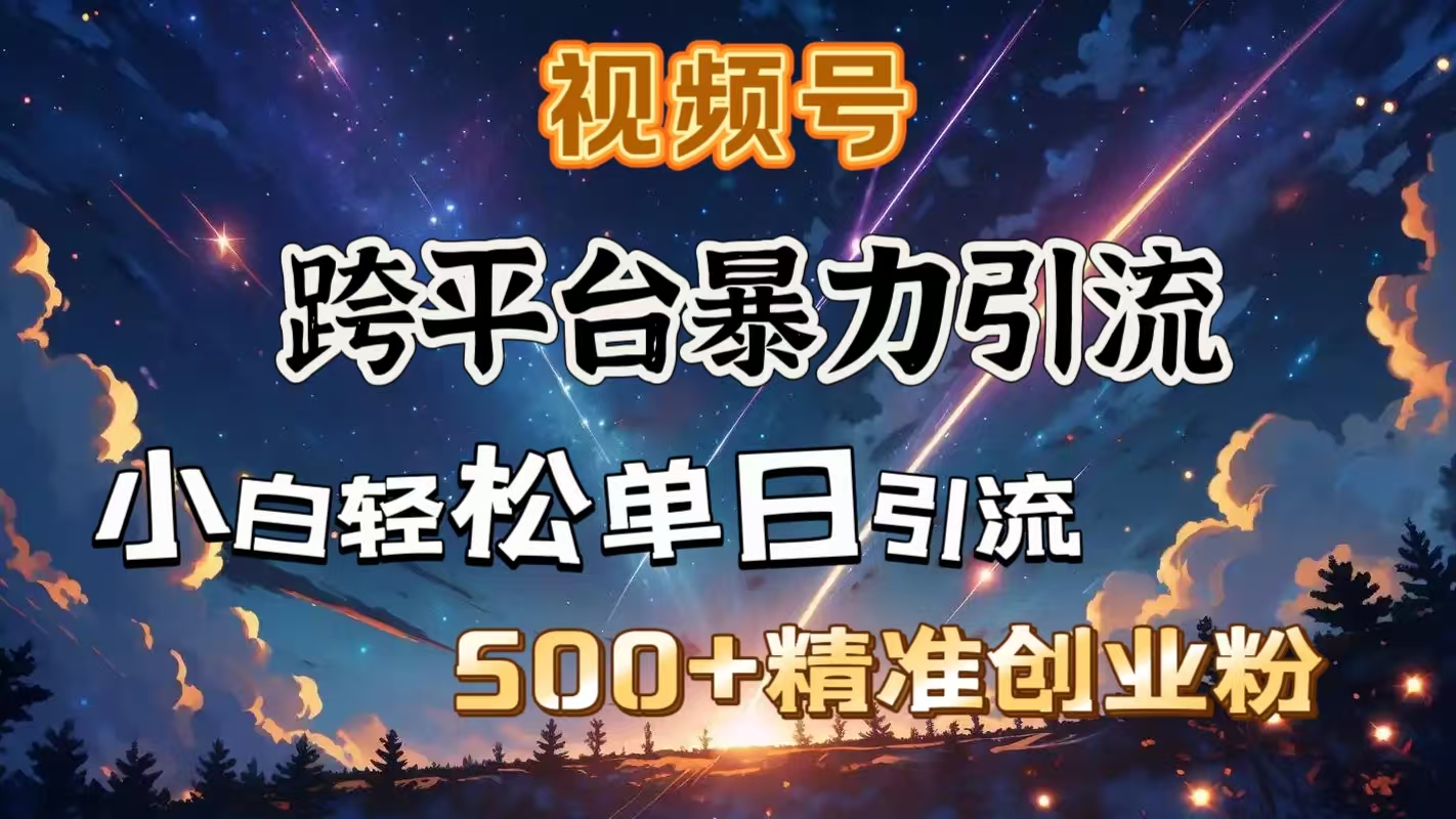 视频号跨平台暴力引流，小白轻松单日引流500＋精准创业粉-齐力副业