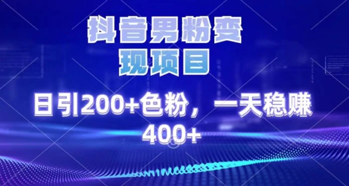 2025最新男粉项目 日引200 轻松月入2w+-齐力副业