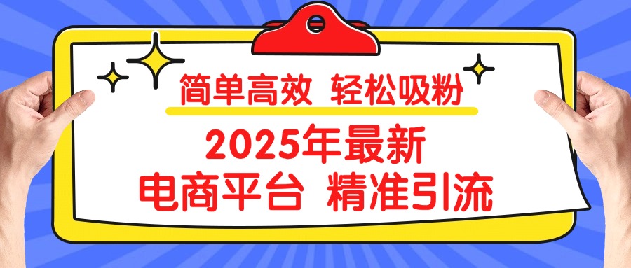 2025年最新电商平台精准引流 简单高效 轻松吸粉-齐力副业