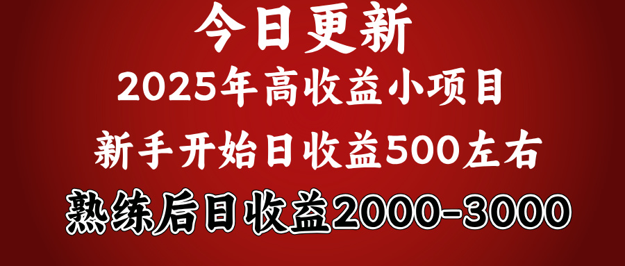 好项目一眼就能看出来，日收益1000，长久可做，2025拼的就是我比你勤奋-齐力副业