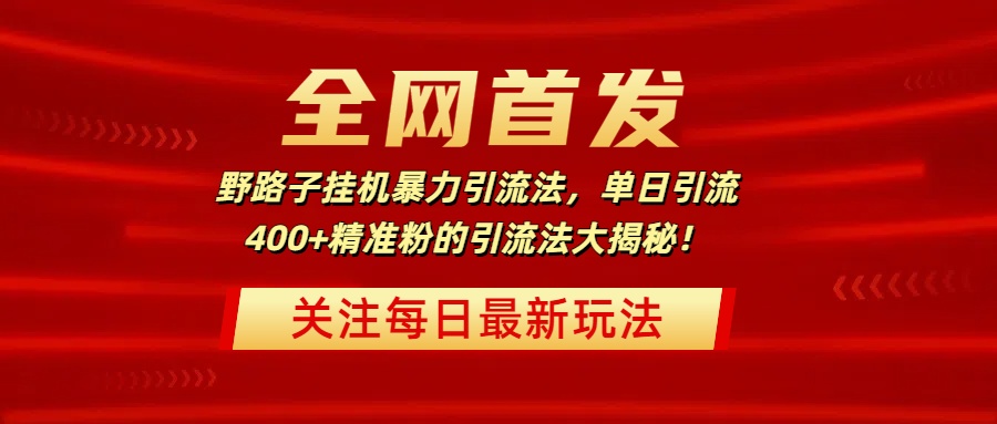 全网首发，野路子挂机暴力引流法，单日引流400+精准粉的引流法大揭秘！-齐力副业