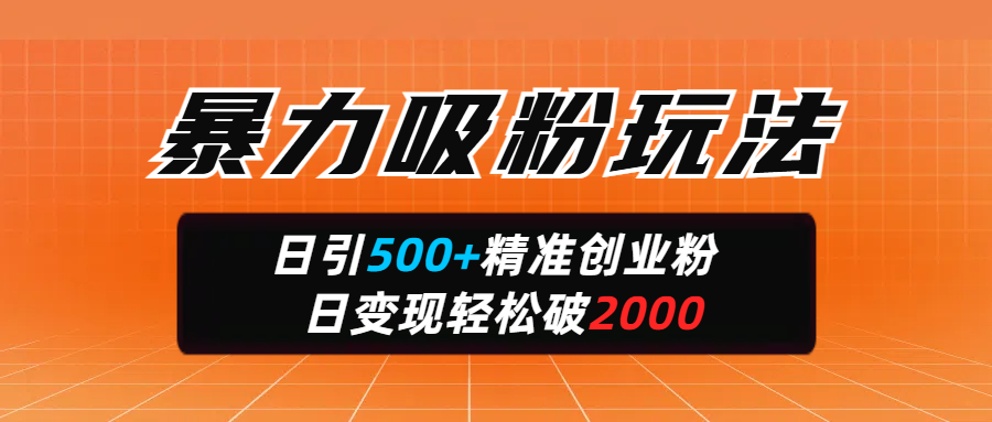 暴力吸粉玩法，日引500+精准创业粉，日变现轻松破2000-齐力副业