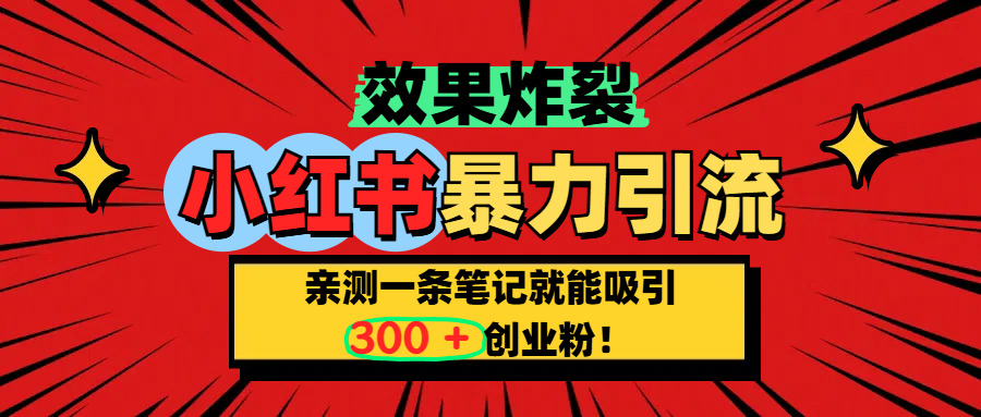 小红书炸裂玩法，亲测一条笔记就能吸引300+精准创业粉！-齐力副业