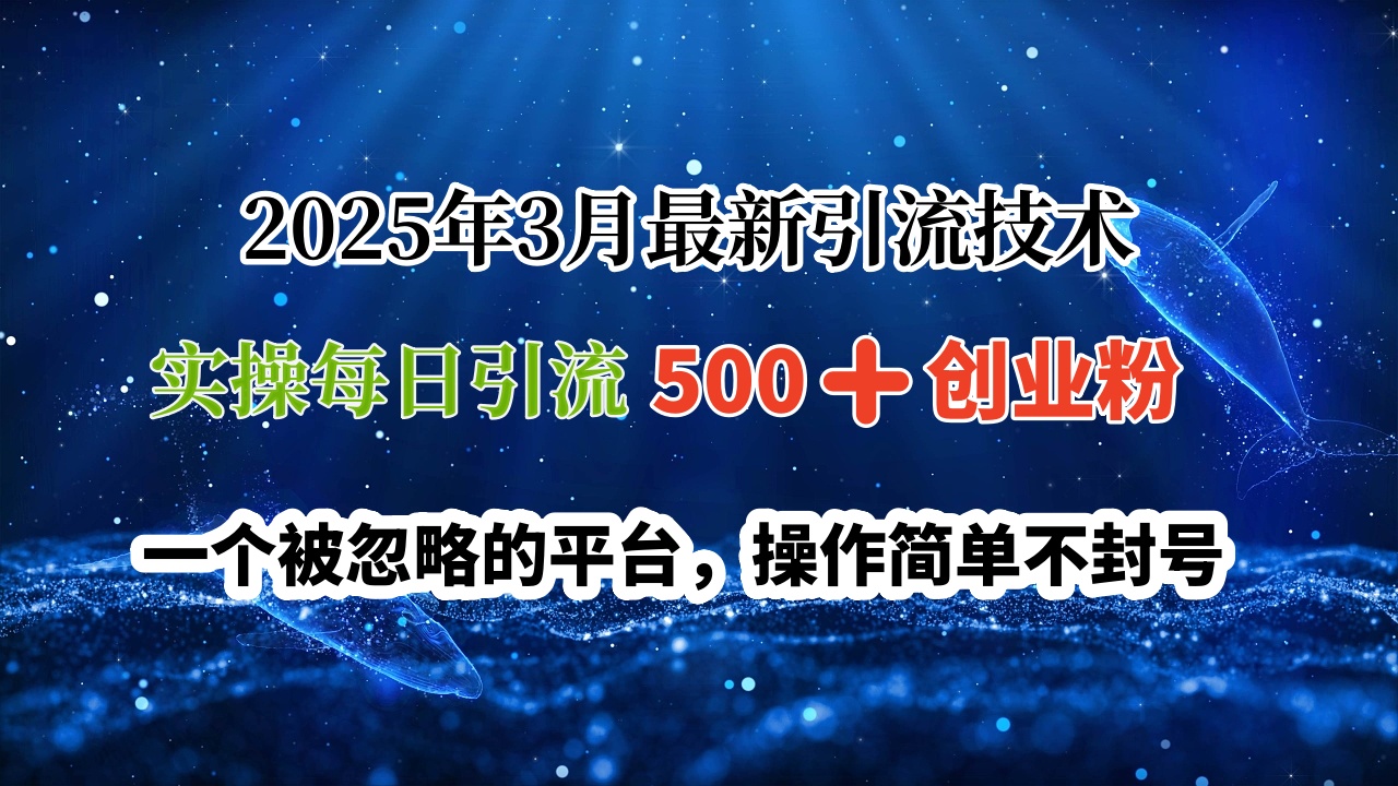 2025年3月最新引流技术,实操每日引流500➕创业粉,一个被忽略的平台,操作简单不封号-齐力副业
