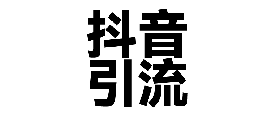 2025年抖音最新暴力引流法，只需一个视频加一段文字，简单操作，单日引300+创业粉-齐力副业