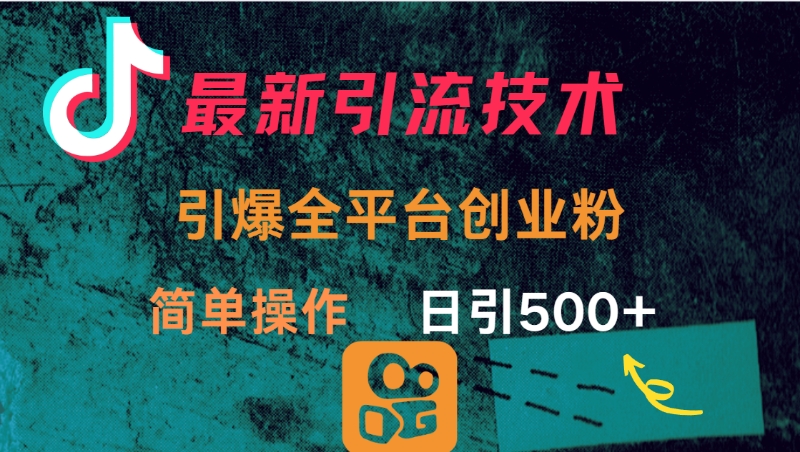 最新引流方法，引爆全平台创业粉操作简单，日引300＋-齐力副业