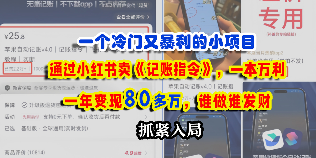 一个冷门又暴利的小项目，通过小红书卖《记账指令》，一本万利，一年变现80多万，谁做谁发财-齐力副业