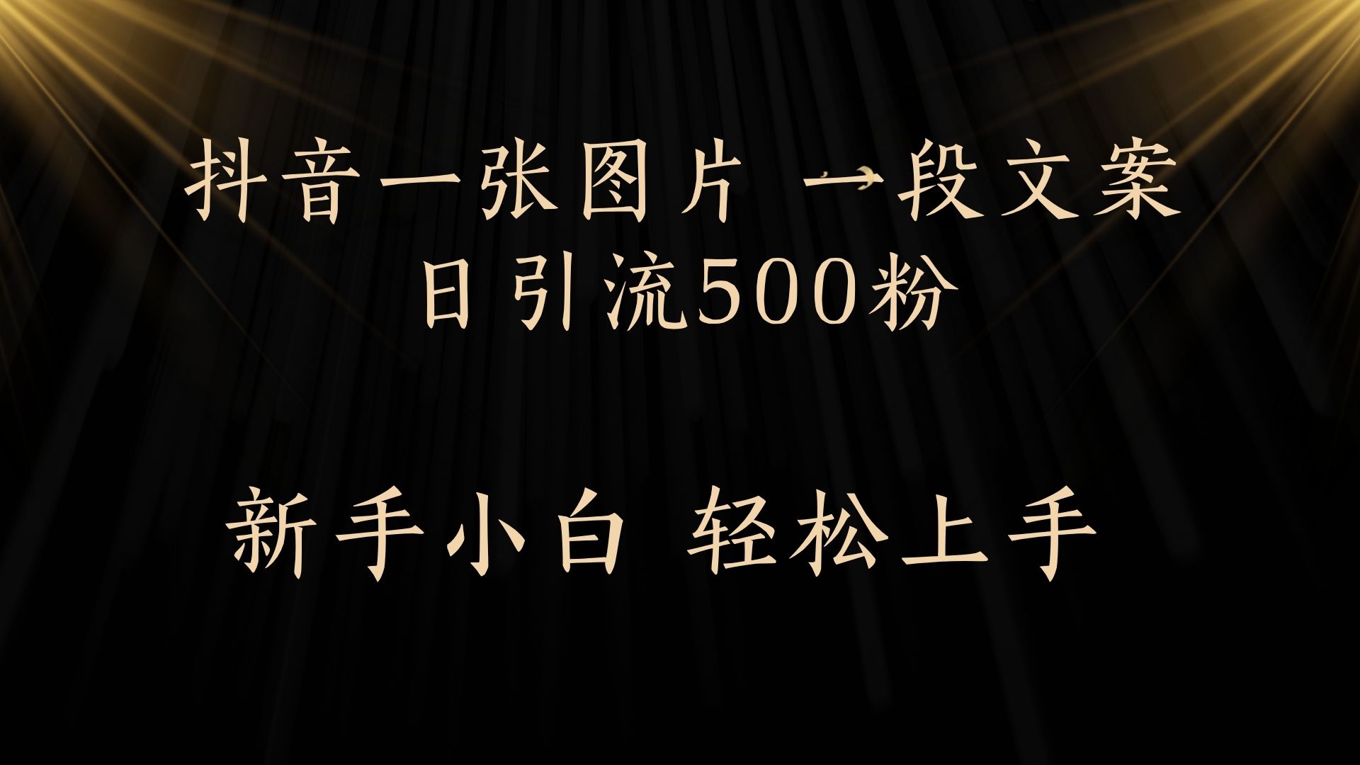 每天2分钟，抖音一张图片 一段文案日引流500粉-齐力副业