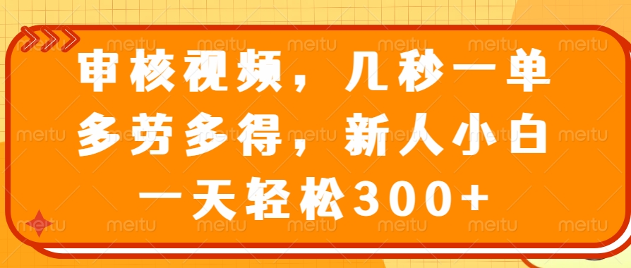 视频审核员，几秒一单，多劳多得，新人小白一天轻松300+-齐力副业