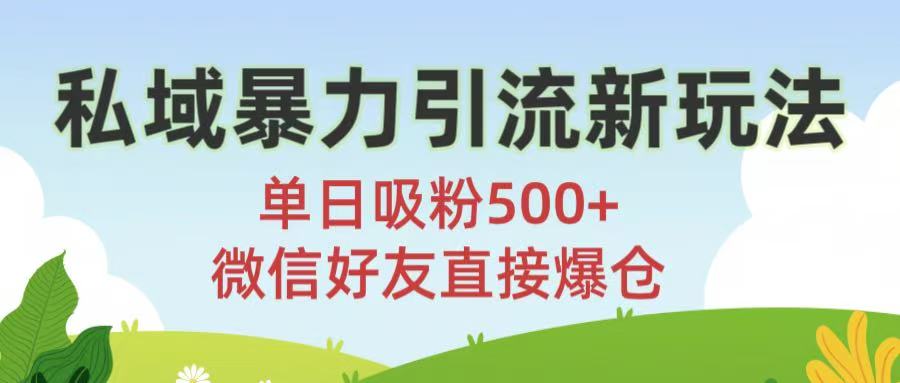 私域暴力引流新玩法!单日吸粉500+，微信好友直接爆仓-齐力副业