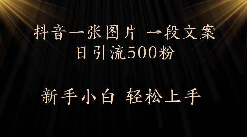 抖音一张图片，一段文案日引流500粉，新手小白 轻松上手-齐力副业