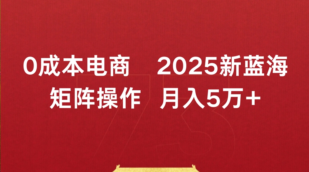 0成本电商2025新蓝海矩阵操作 月入5万+-齐力副业