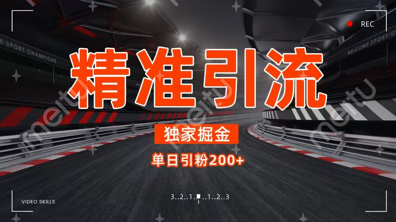 独家野路子精准引流 每日200+-齐力副业