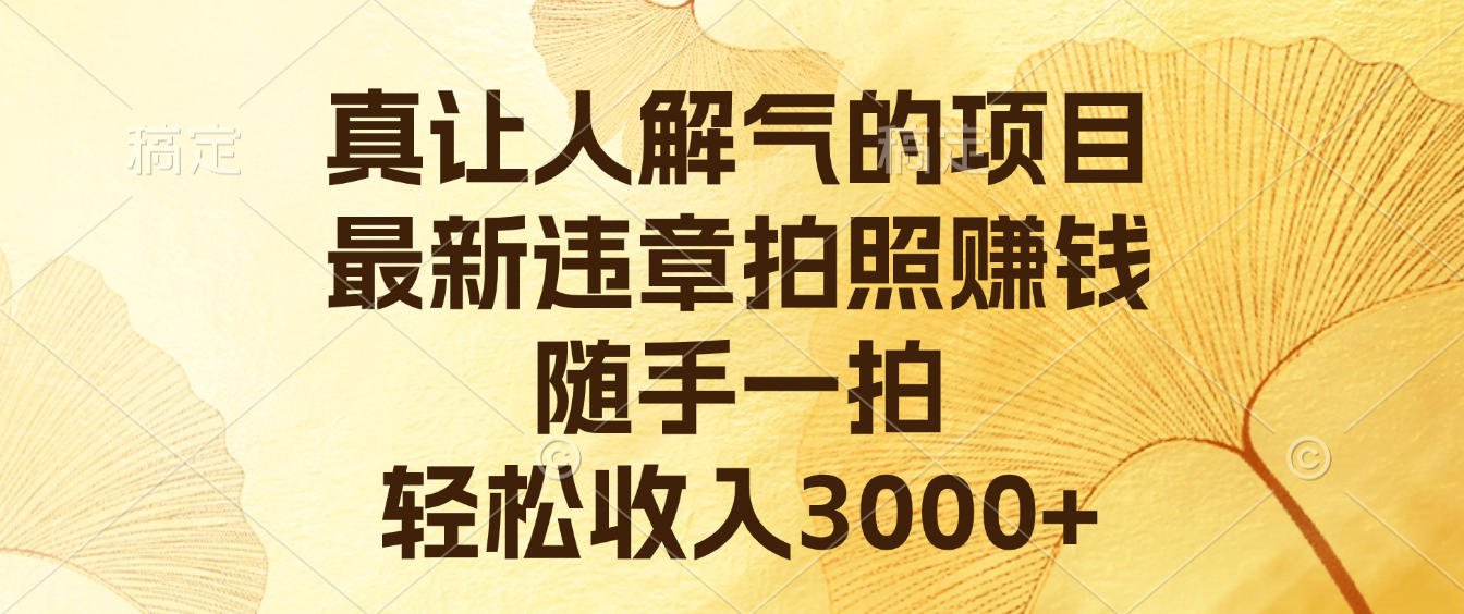 真让人解气的项目，最新违章拍照赚钱，随手一拍，轻松收入3000+-齐力副业