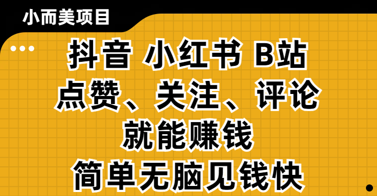 小而美的项目，抖音、小红书、B站视频点赞、关注、评论就能赚钱，简单无脑立见收益!妥妥的零撸项目-齐力副业