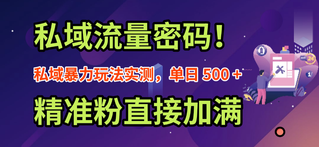私域流量密码！私域暴力玩法实测，单日 500 + 精准粉直接加满-齐力副业