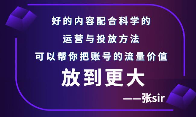 【副业项目3305期】（怎么投dou+快速涨粉）张sir账号流量增长课，让你的流量更精准-齐力副业
