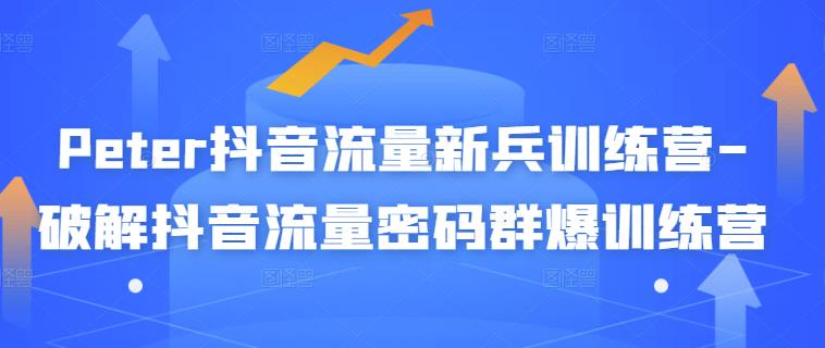 【副业项目3371期】破解抖音流量密码新人训练营（新人抖音怎么获取流量）-齐力副业