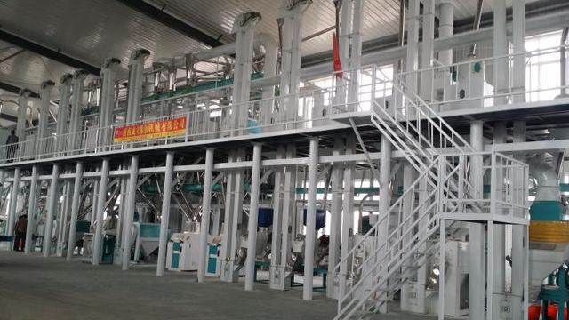 五十吨玉米深加工项目赚钱吗？小型玉米深加工项目有哪些？-齐力副业