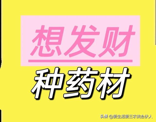 农村种植什么利润高（种什么药材最赚钱农村2022年）-齐力副业