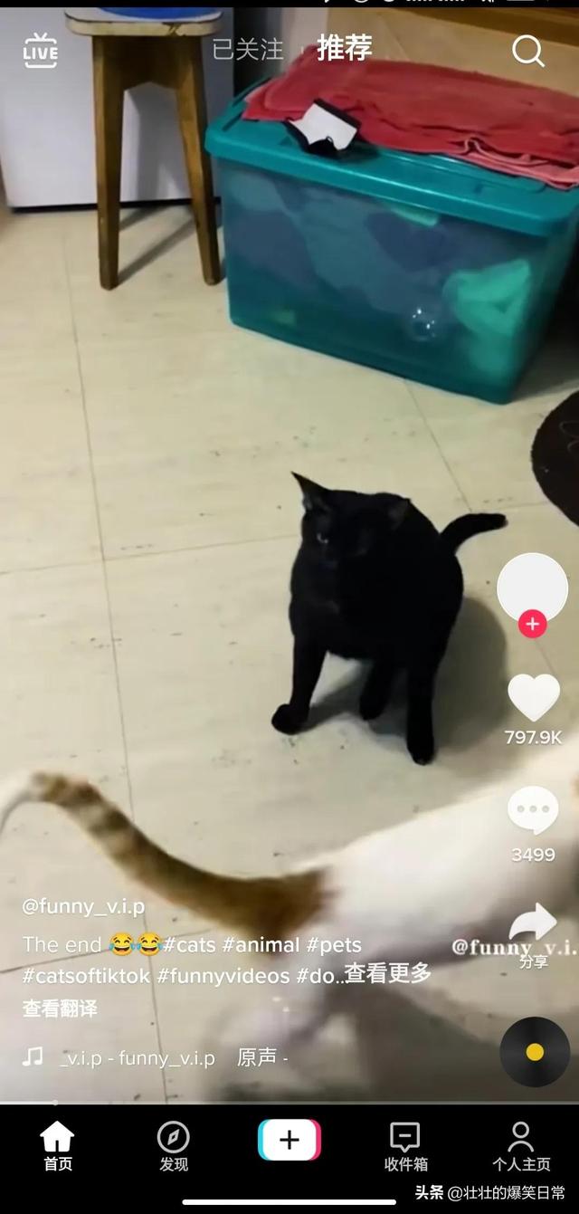 如何使用海外版抖音（国内怎样使用tiktok）-齐力副业