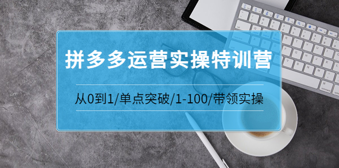 【副业项目3863期】拼多多运营实操特训营：拼多多直通车进阶优化技巧，拼多多如何操作利润最大化-齐力副业
