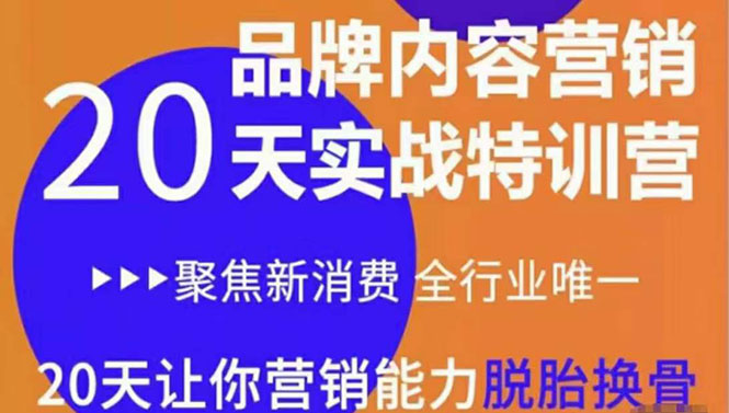 【副业项目3899期】《内容营销实操特训营》20天让你营销能力脱胎换骨（价值3999）-齐力副业