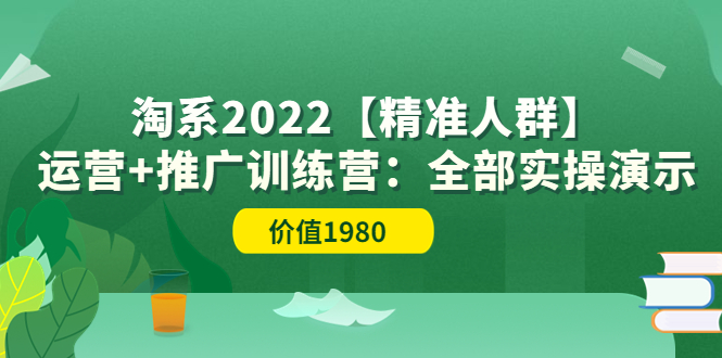 【副业项目3941期】淘系2022【精准人群】运营+推广训练营：全部实操演示-齐力副业
