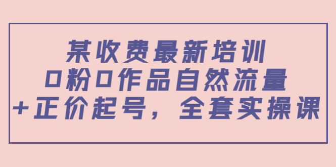 【副业项目4039期】某收费最新培训：0粉0作品自然流量+正价起号，全套实操课-齐力副业