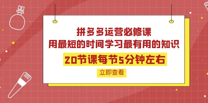 【副业项目4189期】拼多多运营必修课：20节课每节5分钟左右，用最短的时间学习最有用的知识-齐力副业