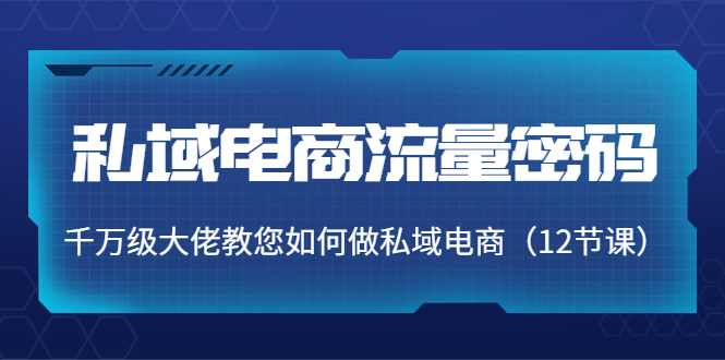 【副业项目4297期】私域电商流量密码：千万级大佬教您如何做私域电商（12节课）-齐力副业