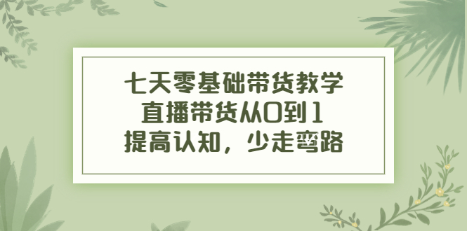 【副业项目4305期】七天零基础带货教学：直播带货从0到1，提高认知，少走弯路-齐力副业