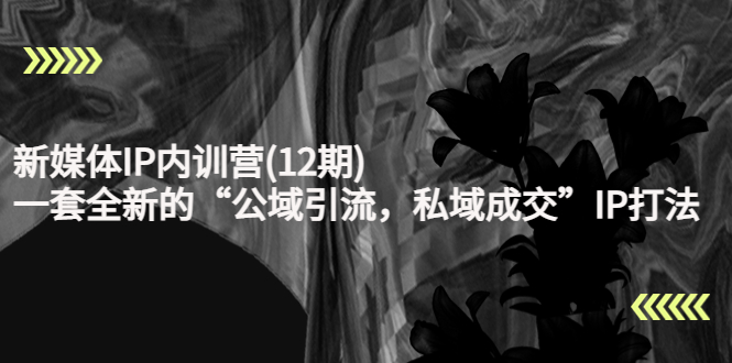 【副业项目4405期】新媒体IP内训营(12期)：一套全新的“公域引流，私域成交”IP打法，直接带走-齐力副业