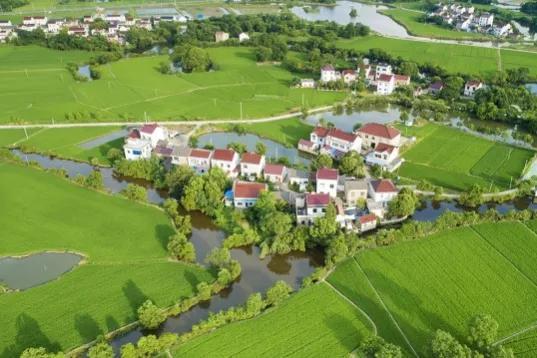 这6类项目在农村正成香馍馍？返乡创业摸准门路，年入百万不是梦农村商机好项目有哪些-齐力副业